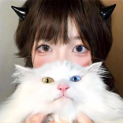 拂晓之街